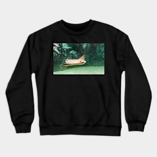 Swimming Cownose ray Crewneck Sweatshirt